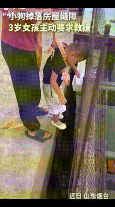 “3岁小孩姐火到人民日报了！”刷到一个视频，一小女孩被家长用绳子拴着放入两墙面间
