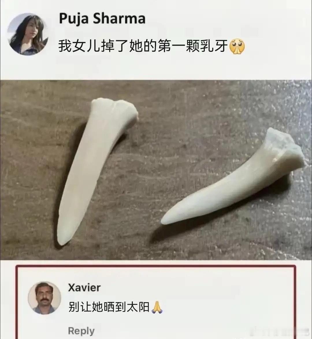 我已经转发给英叔了，他说晚上去你家看看……
