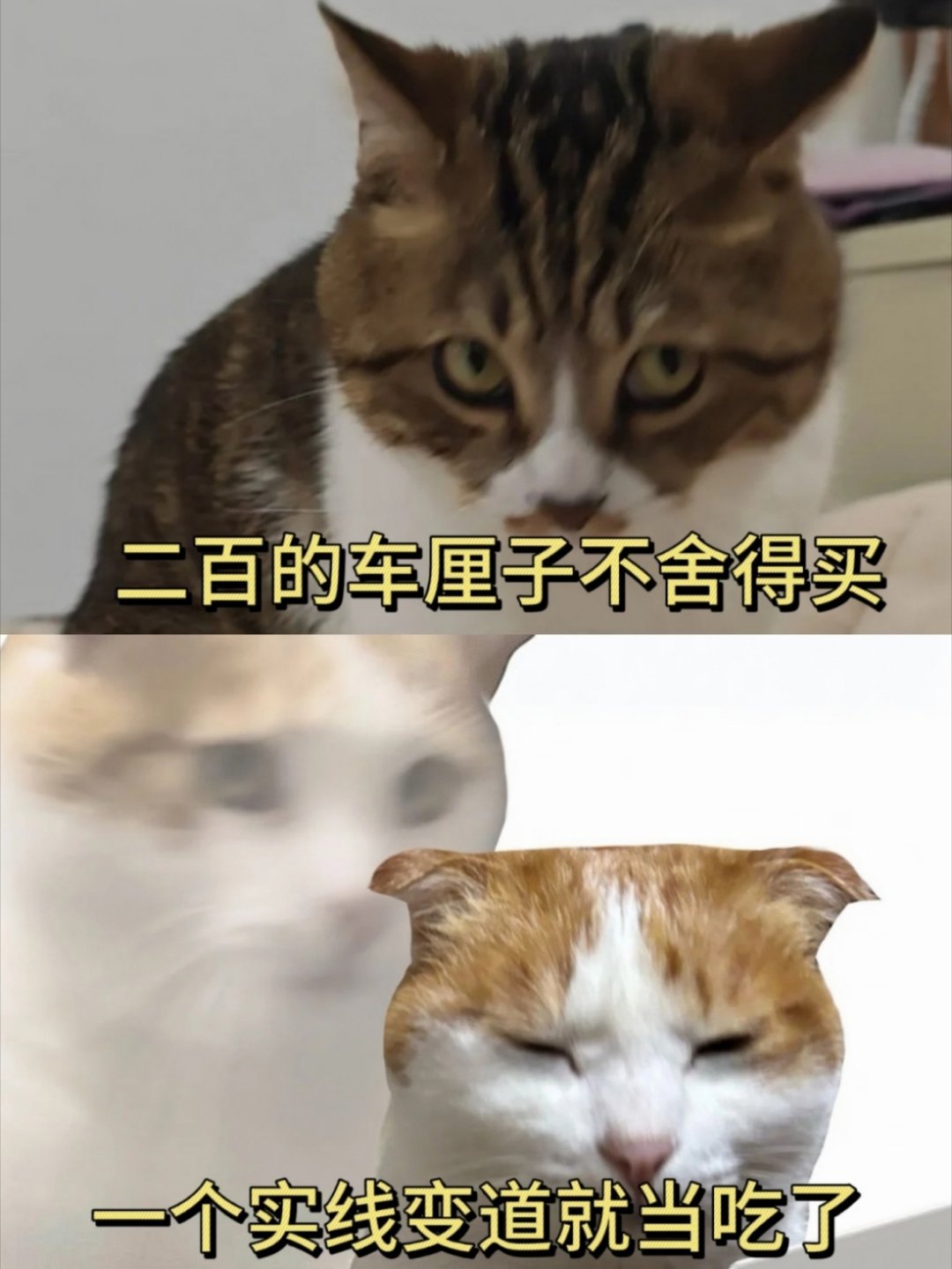 该省省该花花，抠抠搜搜就会在无形中花了很多钱。打一年工，今年的存款和去年是一样的