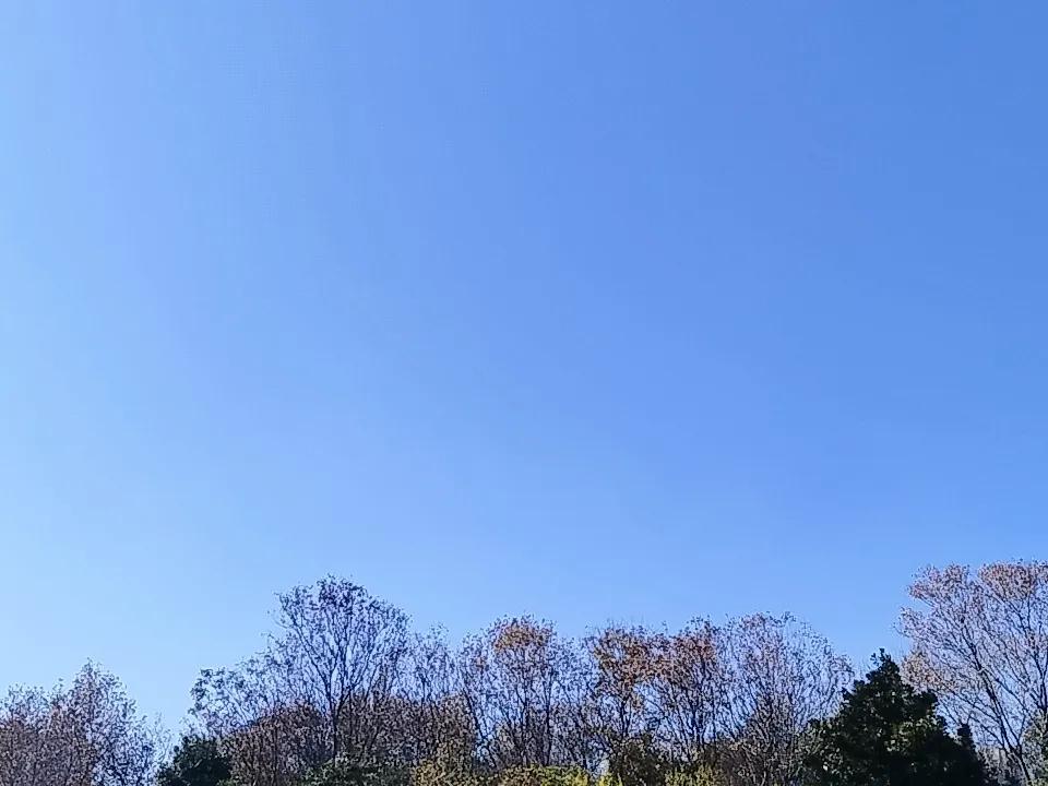 你手机相册里最美的天空照是什么