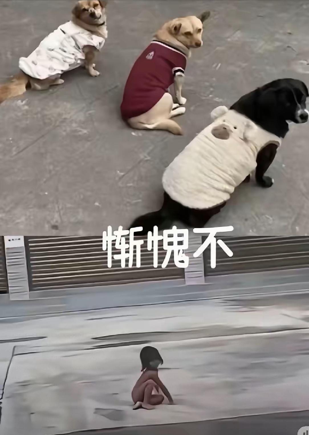 他爹到底怎么想的？要托孤也得找个靠谱的人啊！说到底他爹就是这个孩子痛苦的源头，苦