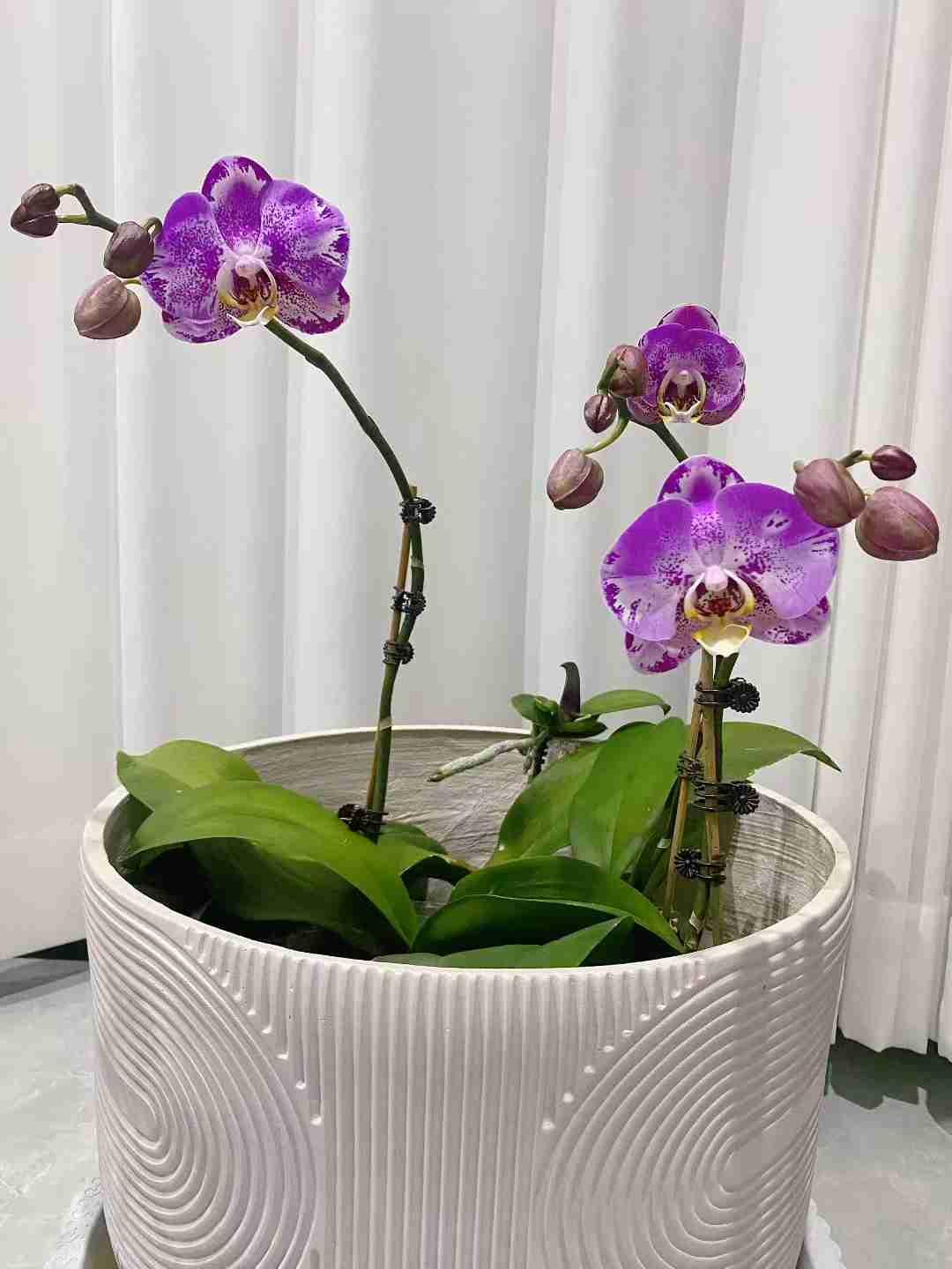 我的今日状态：😁轻松愉快
我这里的天气：☀️晴天