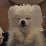 鸿逛逛科技