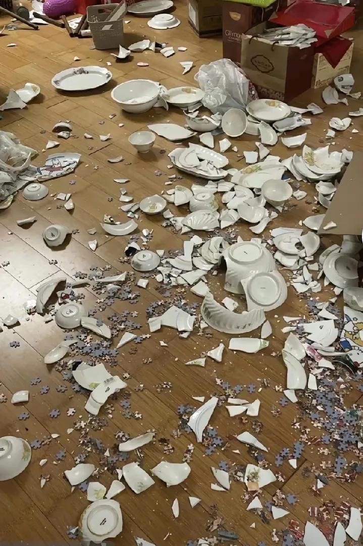 今天和对象大吵了一架，把燃气灶，锅碗瓢盆摔得稀巴烂，平时的一些小事，鸡毛蒜皮的，
