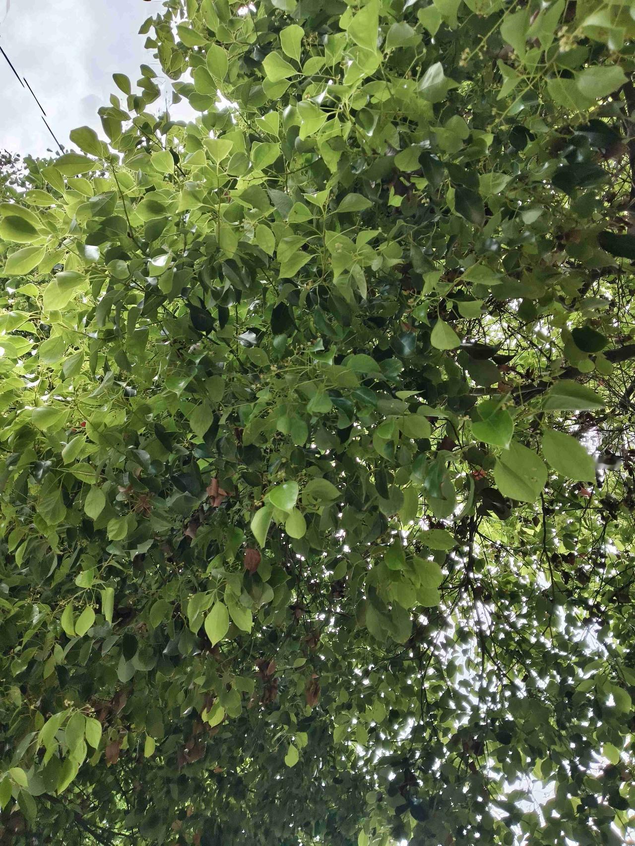 我的今日状态：😁轻松愉快
我这里的天气：☀️晴天