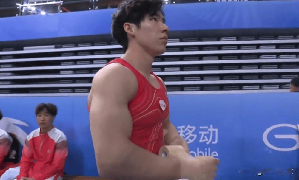 全运会体操男团决赛太精彩啦！最终江苏队一路过关斩将夺得了金牌，实力那是相当强劲。