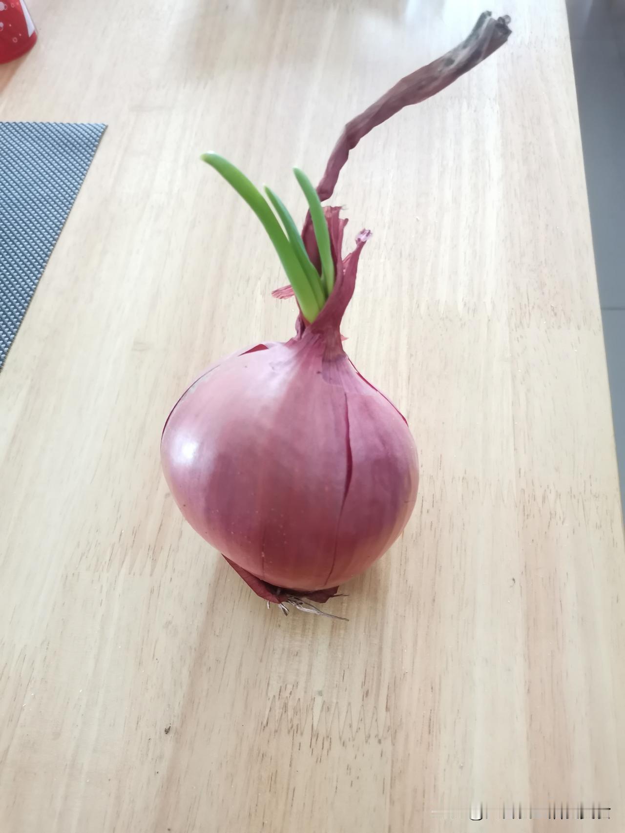 不能放冰箱的食物:

1、香蕉：进冰箱会黑化。

2、黄瓜：进冰箱会变软情。