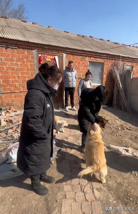 世间奇事，往往起于一念猜测，终于实情真相。2026年3月中旬，吉林长春一桩七犬结