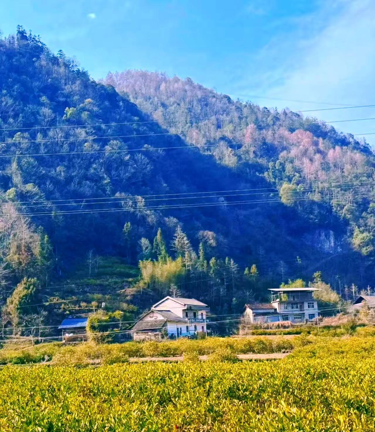 淡泊人生！！！踏实笃定随遇而安！！！现在的山里是最安然自在的，与大自然亲密接触最