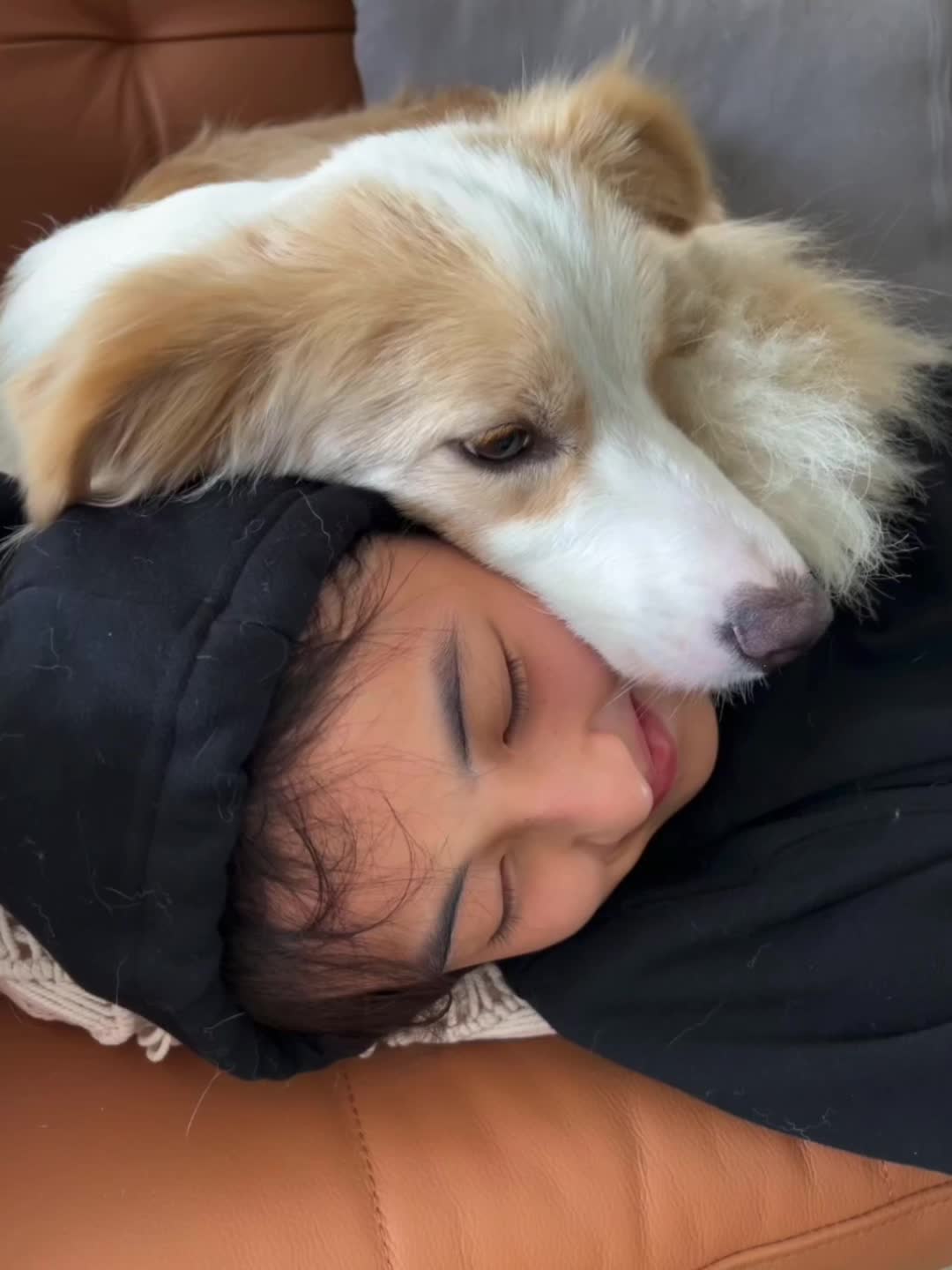 羡慕狗🐶的一天