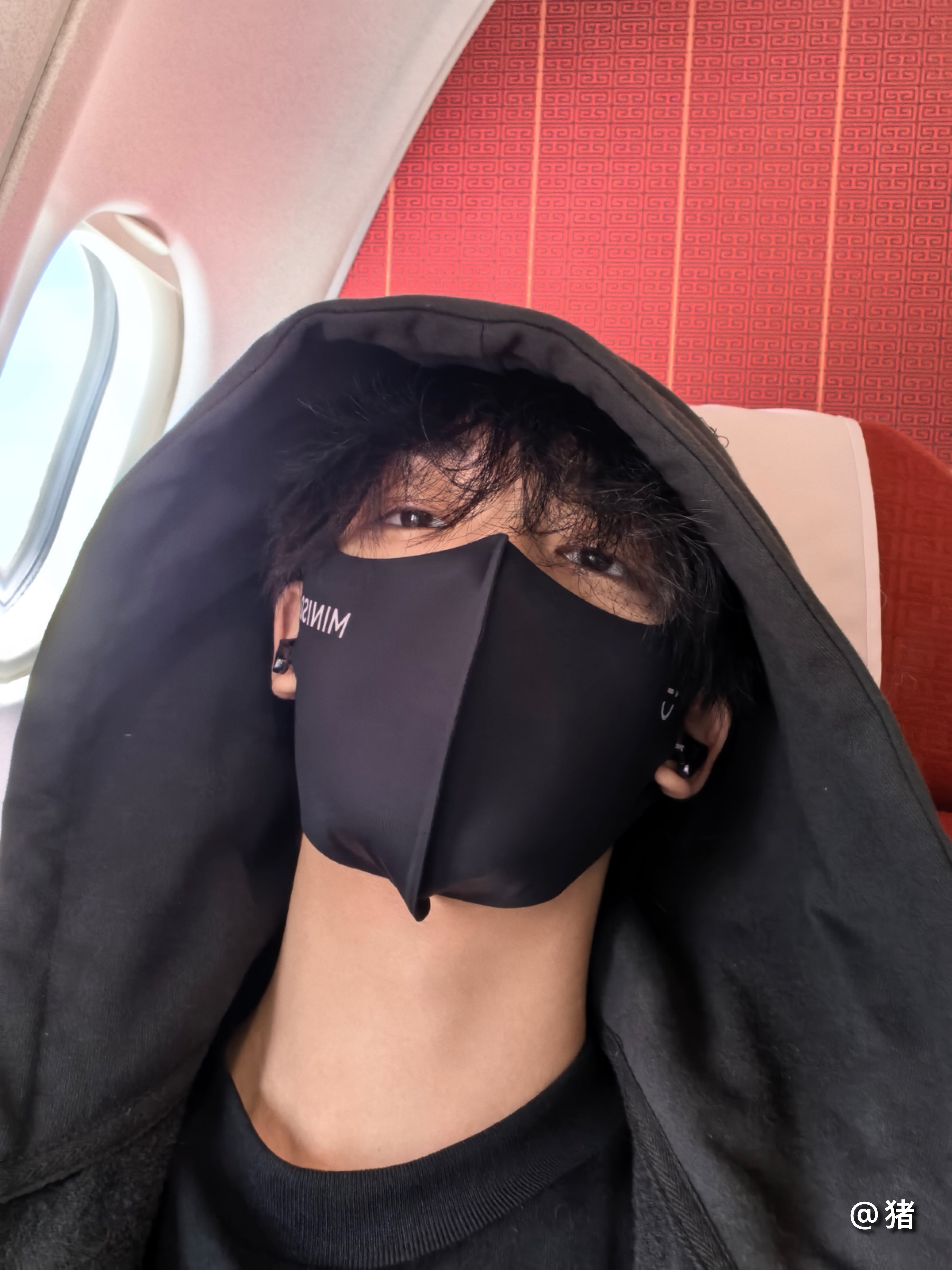 灯灯灯灯高会更新：我给跪了…主人…🥵 