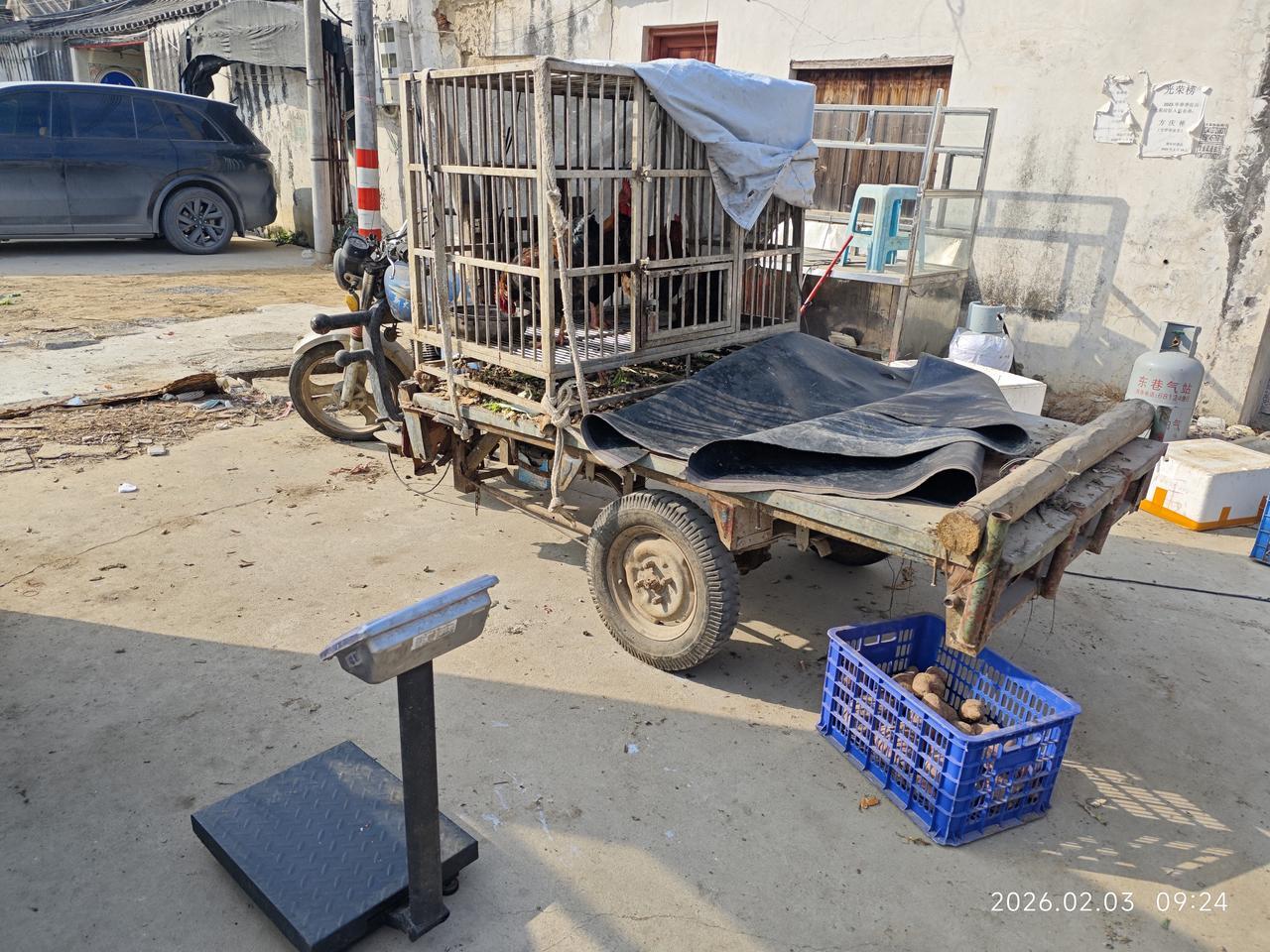 夜不闭户离我们还得有多久？

村里一个老大爷的摊子，他卖自己养的鸡和自己种的番薯