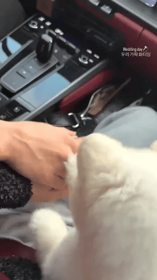 今天韩林办婚礼💒他真会挑日子 同事都在工作（韩林每次来混团都笑点多多而且他基本