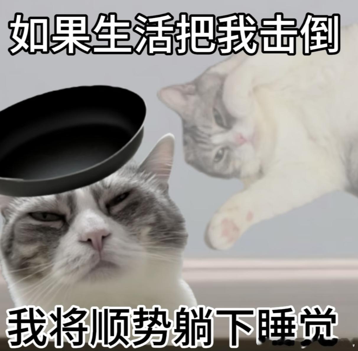 我越想越觉得我孩子笨笨的萌萌的