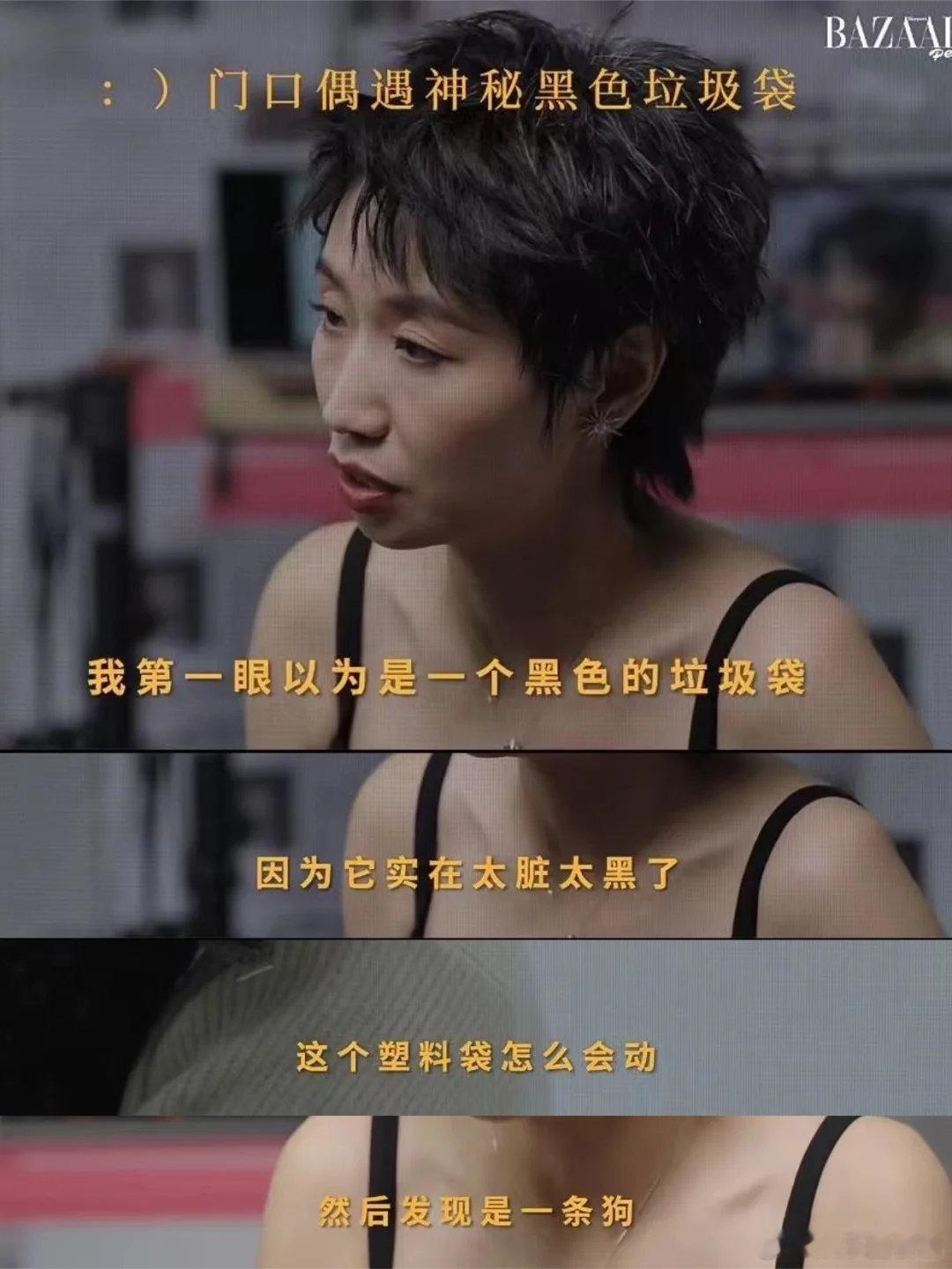 养宠物的人备孕分离焦虑怎么办姐姐当家现实难题直击人心！养宠备孕如何平衡？小鹿为调