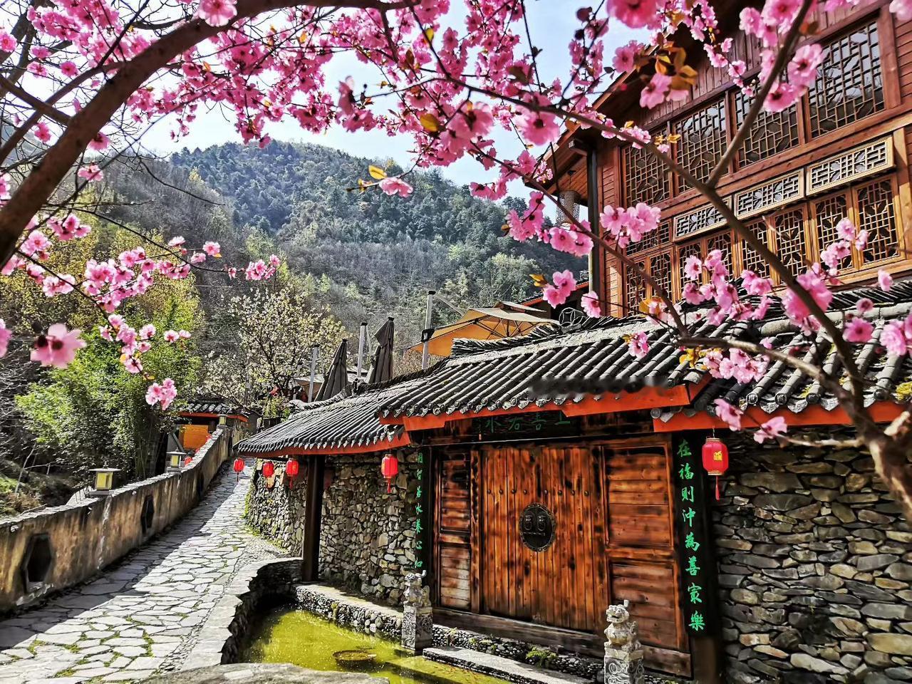 今天早上驱车上山，山上的花开得漫山遍野，比平川里的花开得晚了许多，觉得“人间四月