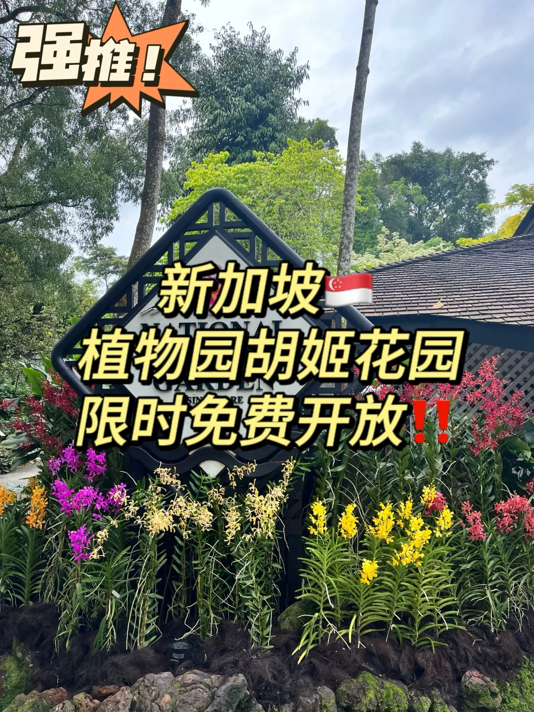 终于等到了🇸🇬胡姬花园限时免费开放‼️