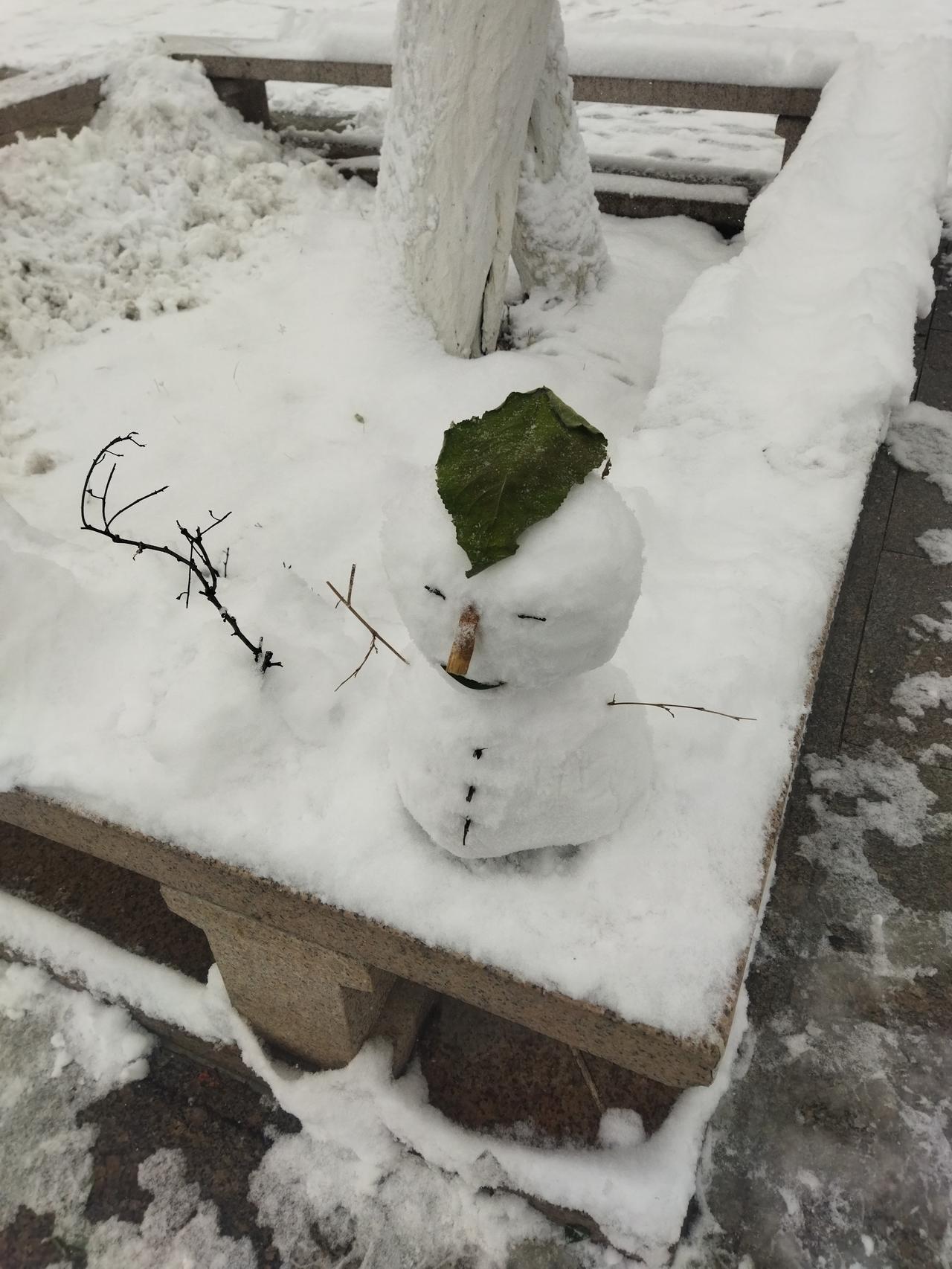 今年冬天的第一场雪。
