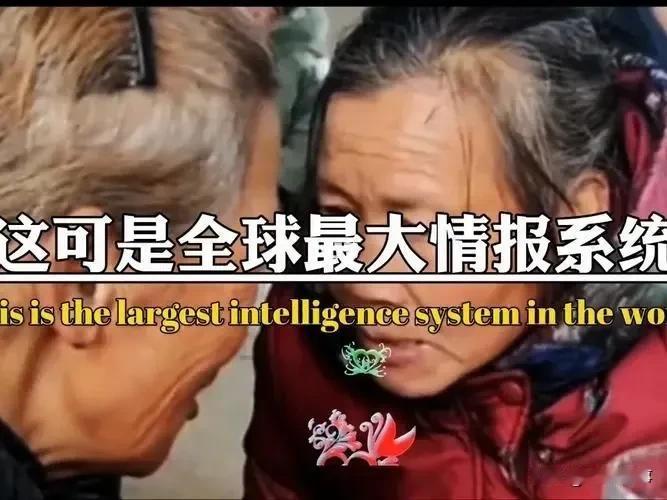 太真实了，村口情报站的神操作

过年回家免不了和长辈邻居
谈天说地，家长里短
你