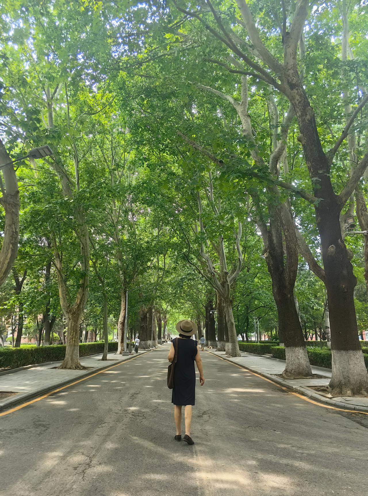 「北京语言大学校园随拍」
分享手机里的随手拍北京语言大学 北京校园打卡 北京校园