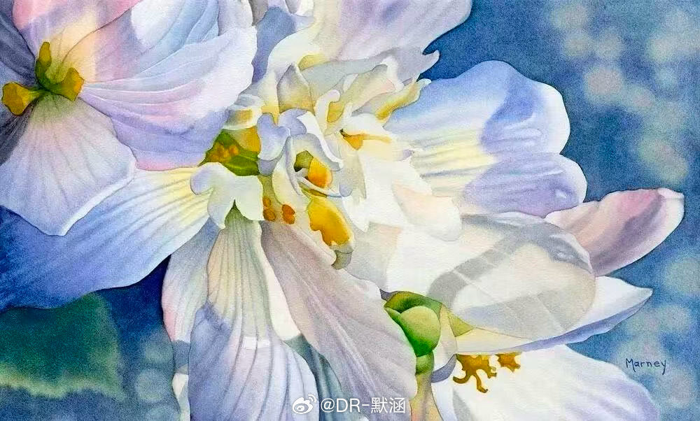 Marney Ward的作品融合了西方的水彩光影与东方的水墨留白技法，画面多为花