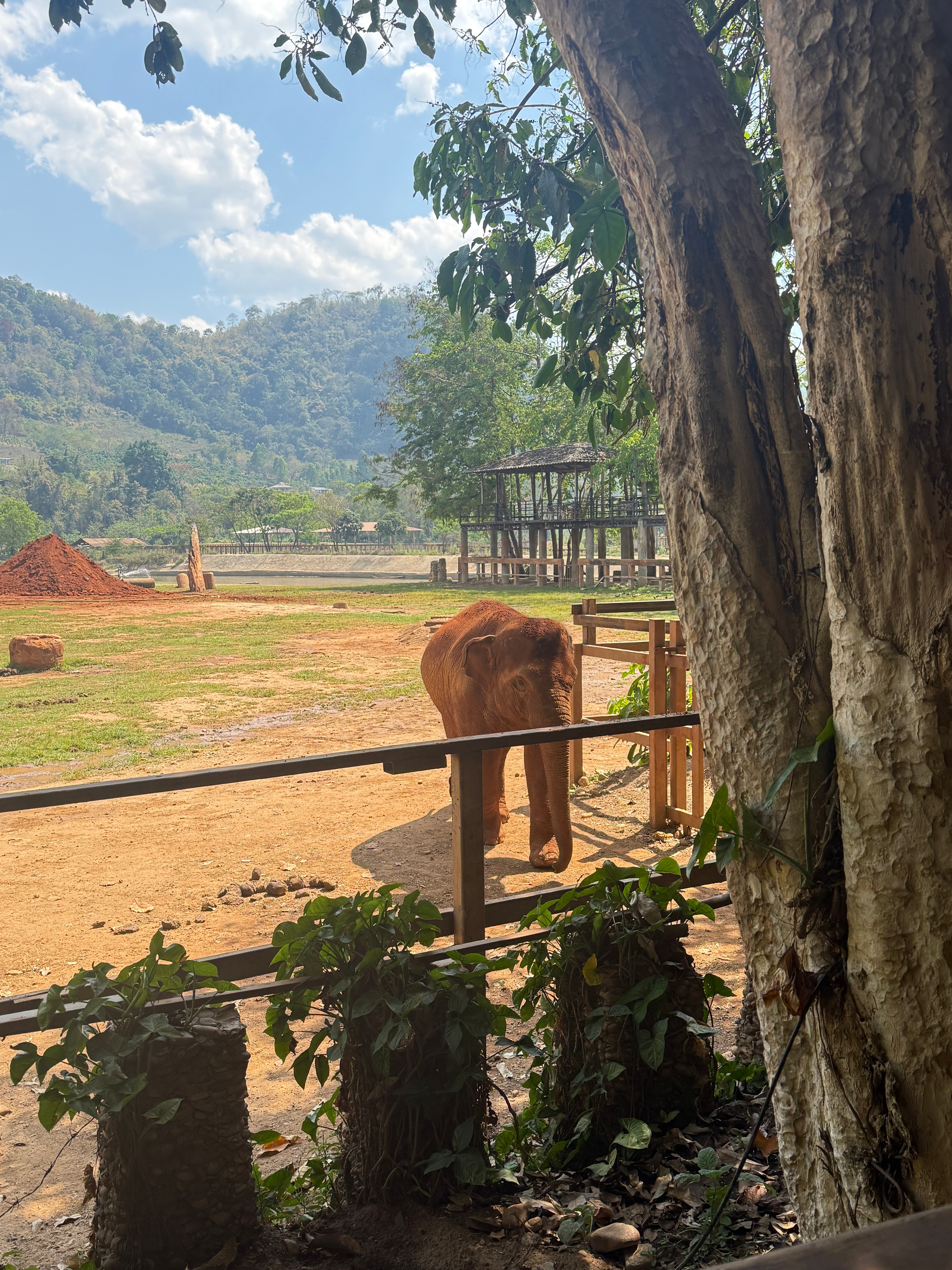 经历千难万险我们开车抵达了没事别尝试自己开车来，不容易。。 