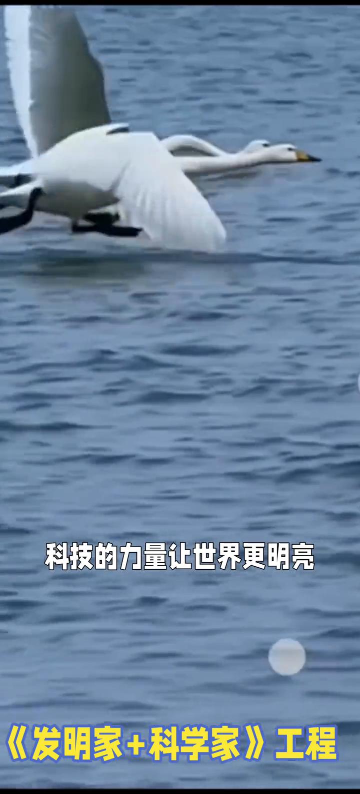 《发明家+科学家》工程。
我们的智慧像旋飞翔的翅膀，穿越云层中，我心中的光芒归来