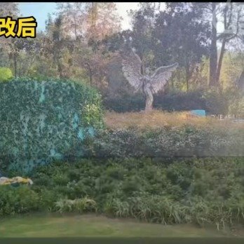 #李玟墓地被曝出杂草丛生# 她真的好可惜，多好的人 ​​​
