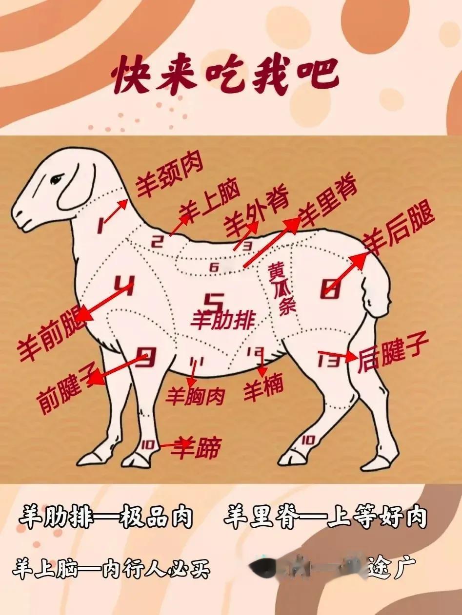 买羊肉：内行人专挑这5个部位，羊肉鲜嫩无膻味，肉贩夸你是行家

今天给大家分享一