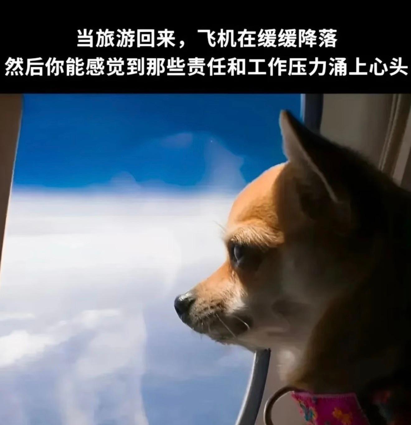 大部分人觉得旅游累的原因还不是时间有限，旅游谁不想急头白脸的睡到自然醒，然后再慢