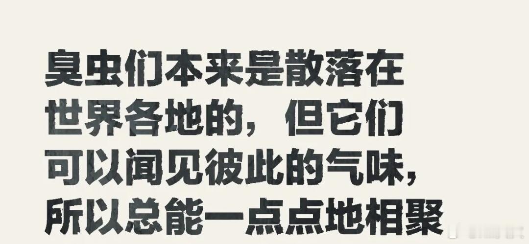 博君一肖[超话] 互联网也是把一些臭虫聚集在了一起，以前它们只能在阴沟里蛐蛐，现