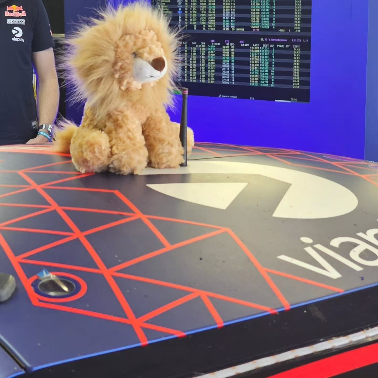 小狮子督战©️bricardoppinto维斯塔潘  🦁 unleashthe