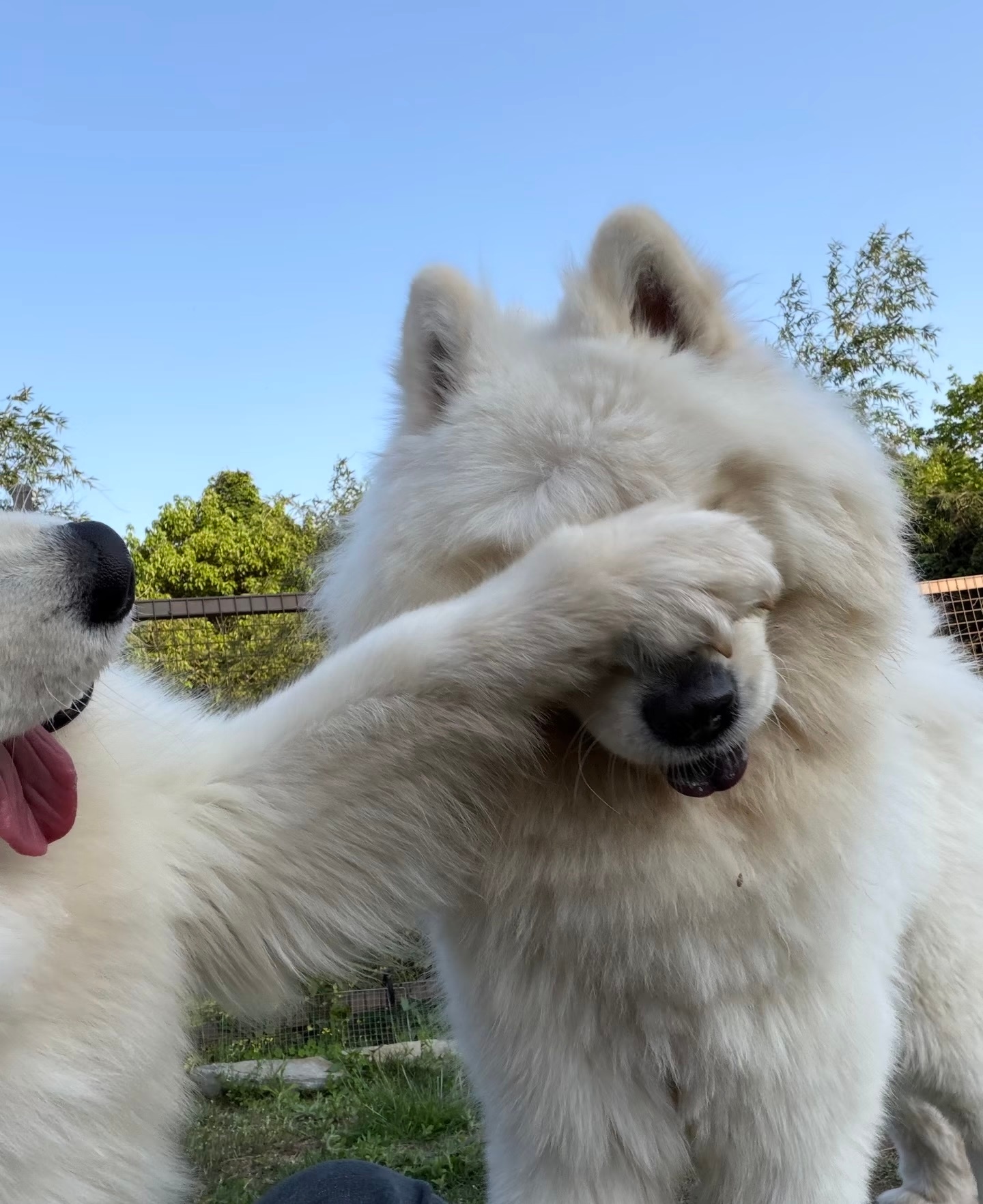 这个小孩子不能看耶 