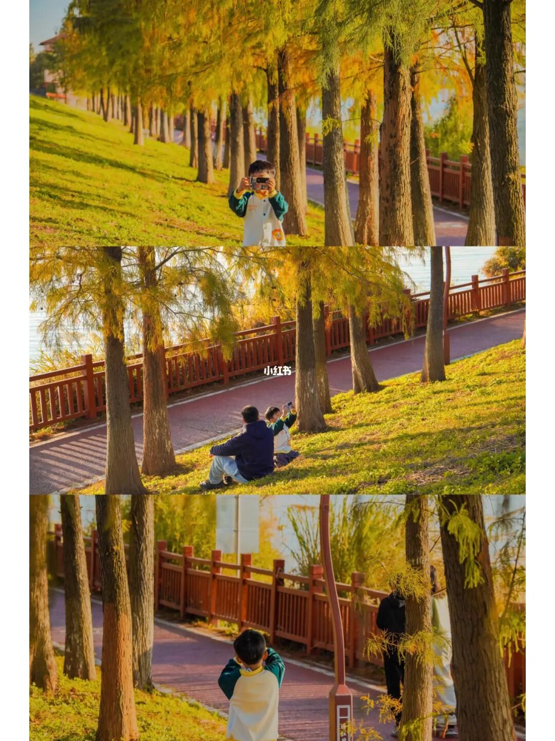 假期去哪玩🏕️这条湖边绿道真的太太太美了！