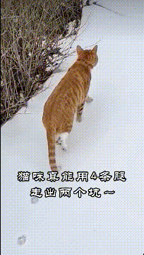还不是因为冻jiojio