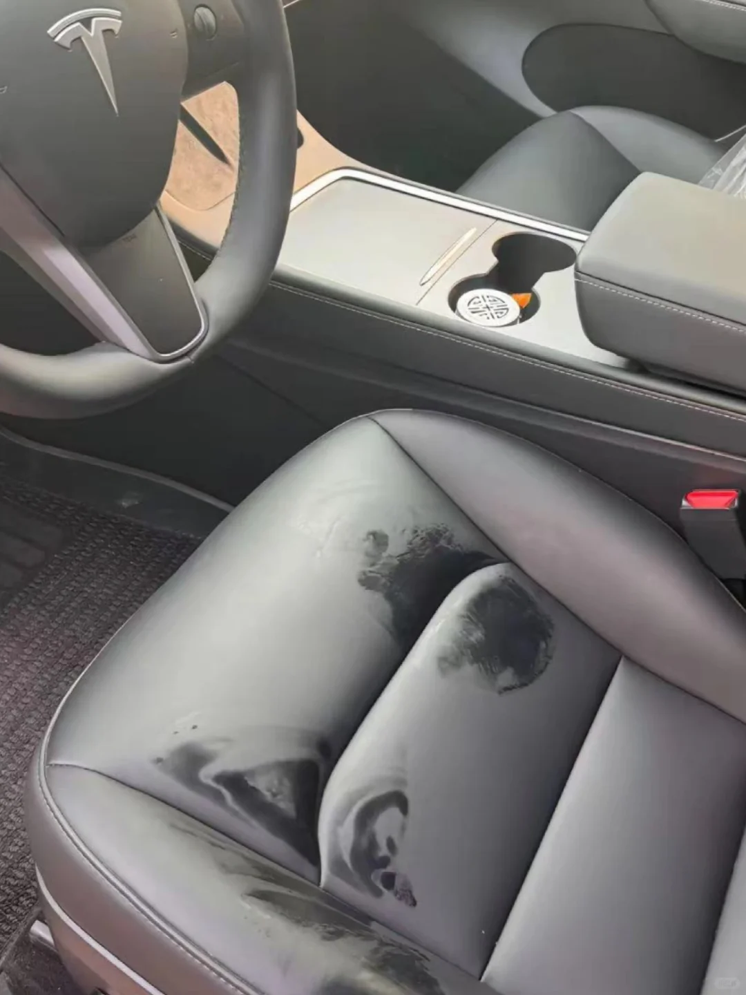 特斯拉的夏季勋章印在男人的座椅上