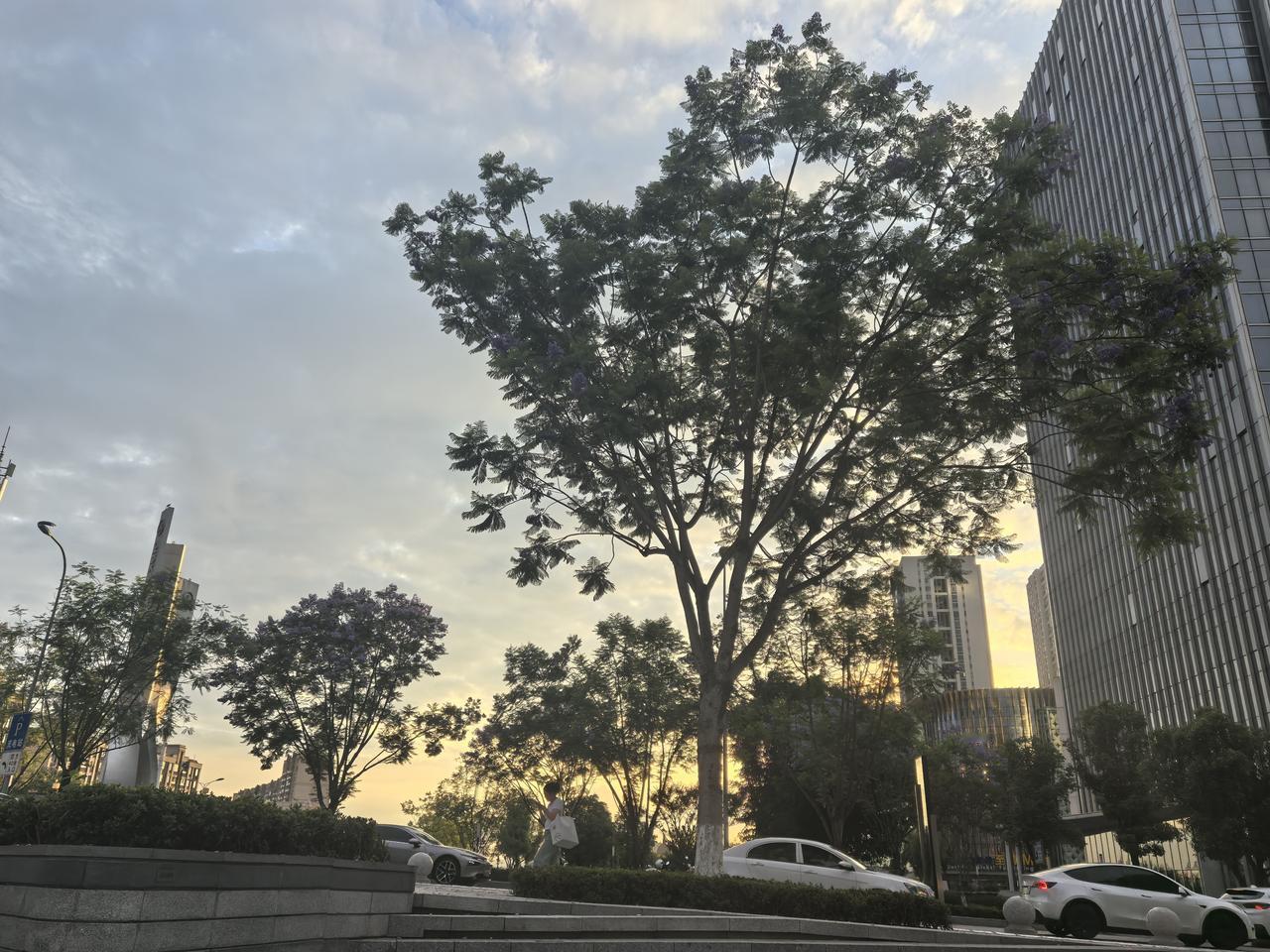 昨晚把小区的车库全跑了一遍，发现理想车真多，不下100台，其中L9最多！MPV最