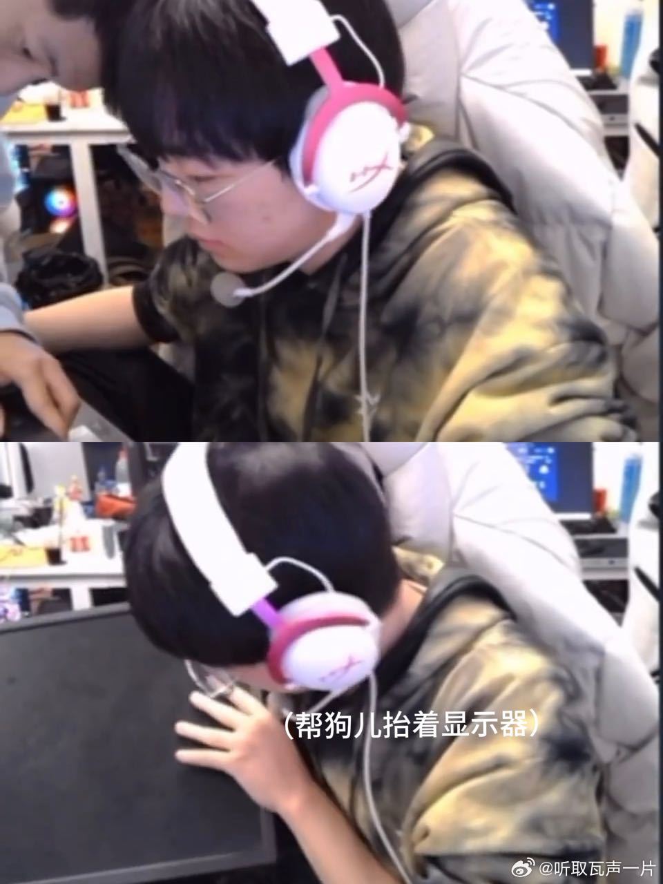 24972【瓦吗】它不只是一个猫爪，一坨山竹，一把香蕉，也是狗最喜欢的安抚物，一