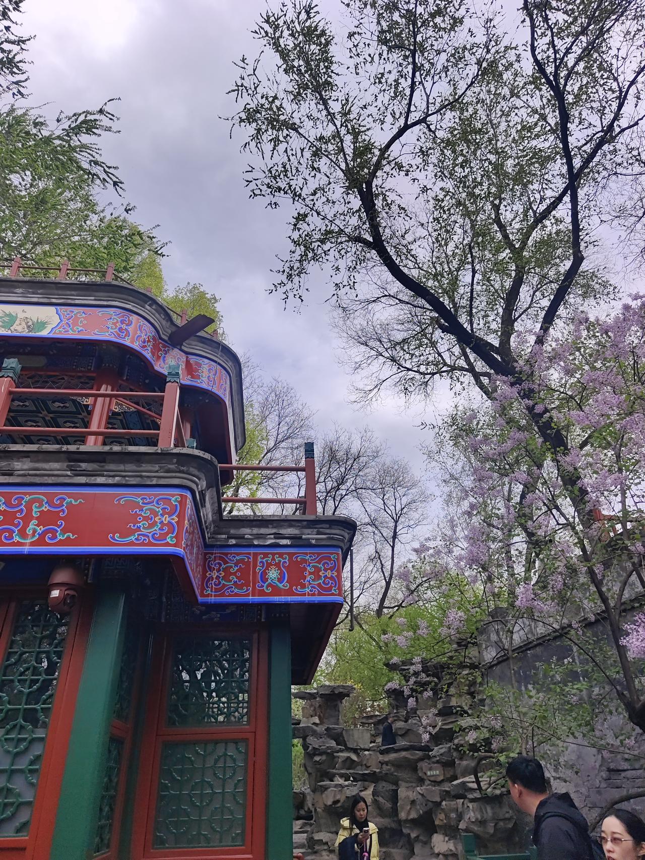 今年放假身边人都没什么大动作了，有好好休息的，有刷剧看电影的，有到家附近逛公园的