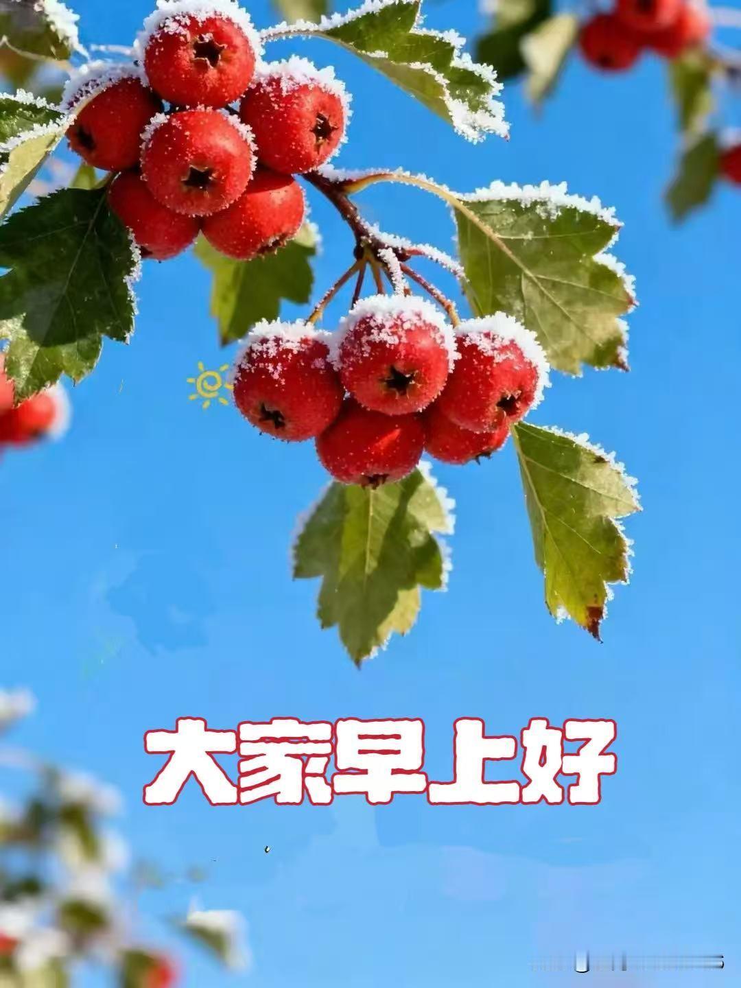 赞！[爆竹][爆竹][爆竹][击掌][击掌][击掌][送自己一朵花][送自己一朵