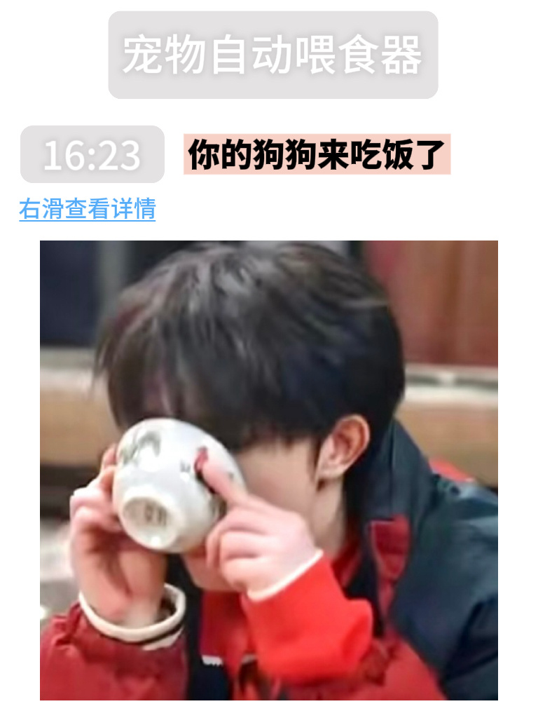 【4561】饭点不吃饭的原因终于找到了