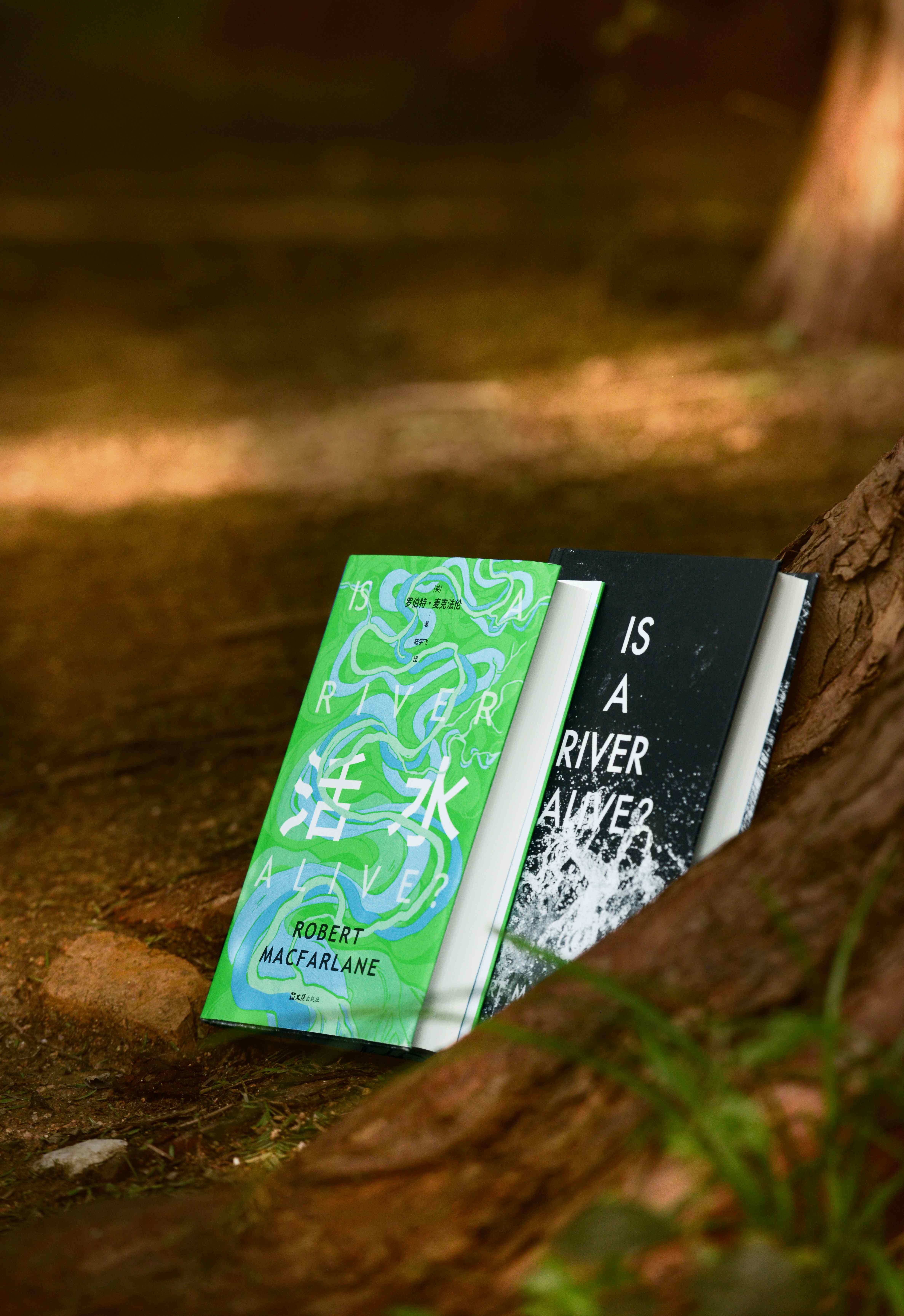 【转发赠书】《活水》《深时之旅》作者、“当代最好的行走文学作家”罗伯特·麦克法伦