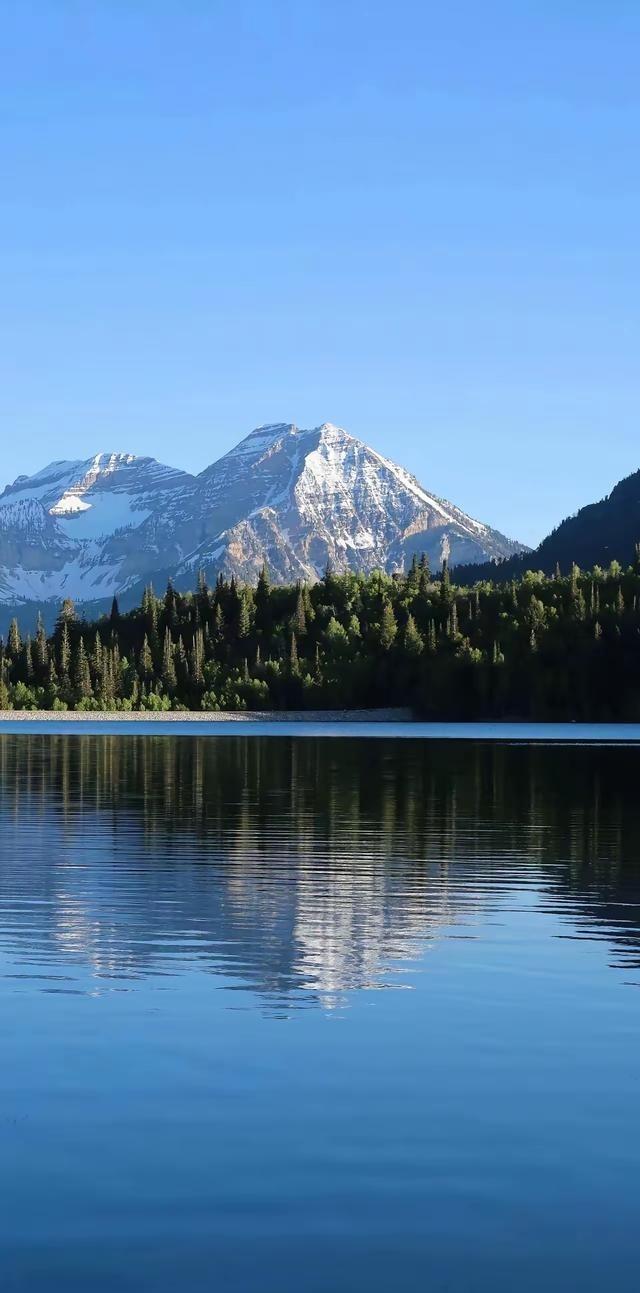 一段非常现实的话：“手里要是有个几套全款房，就别瞎折腾，不管别人怎么说楼市不行了