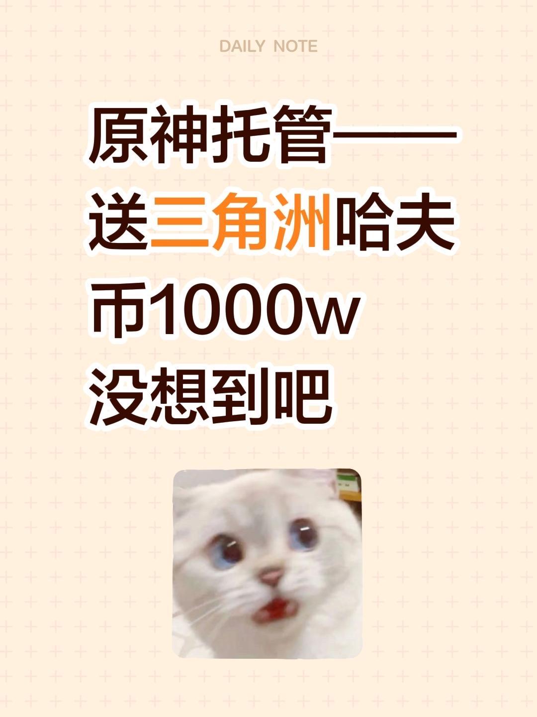 原神托管——送三角洲哈夫币1000w 没想到吧