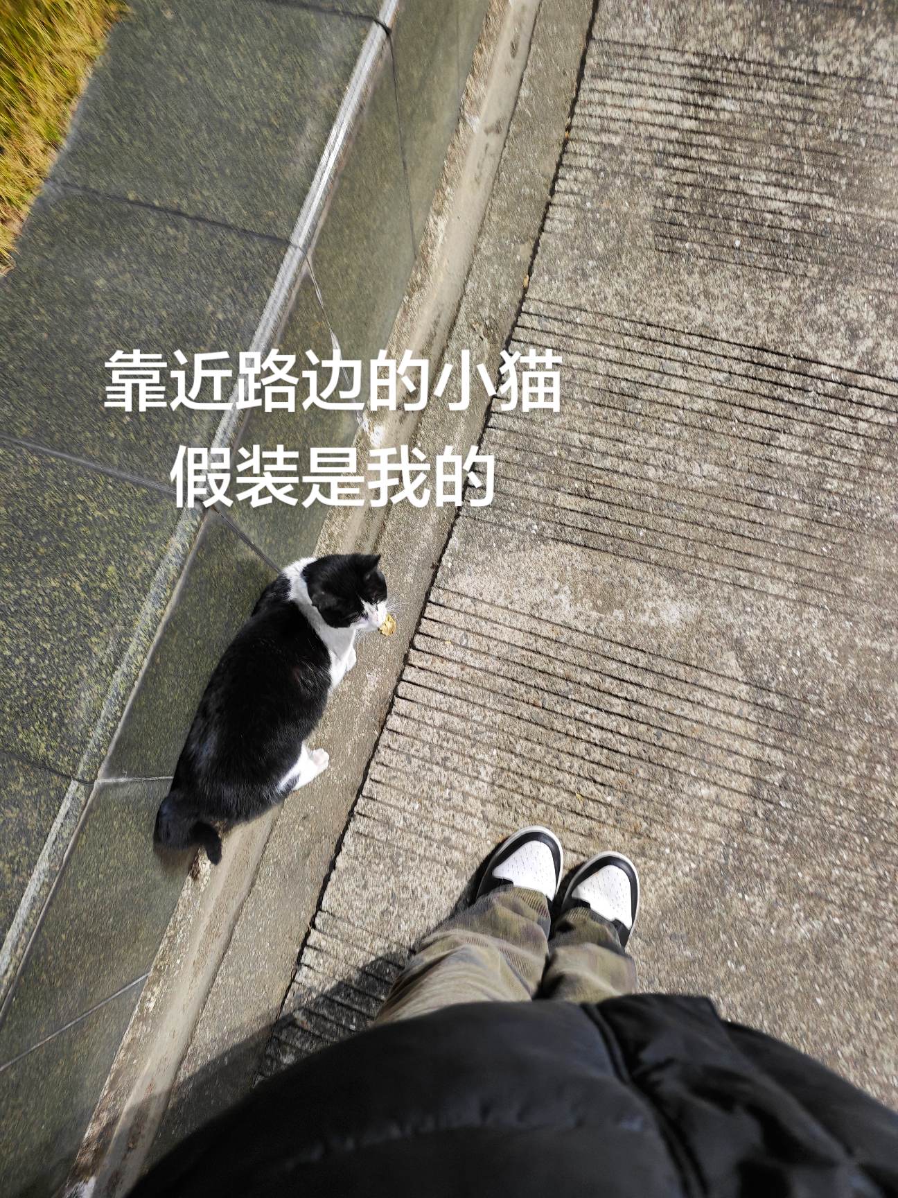 心 在离别前荡起秋千