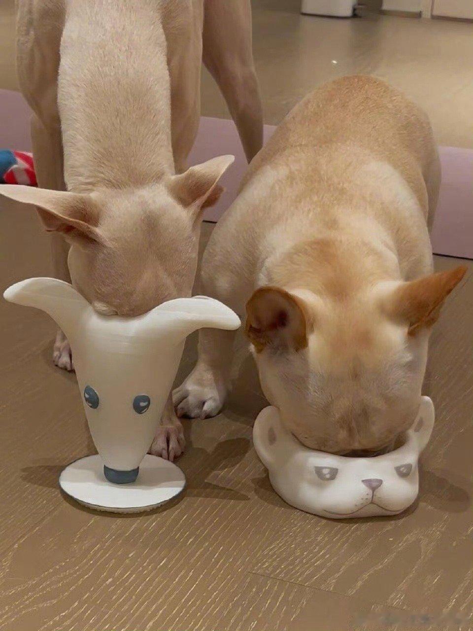 量“狗”定制3D打印狗碗爆笑段子研究所