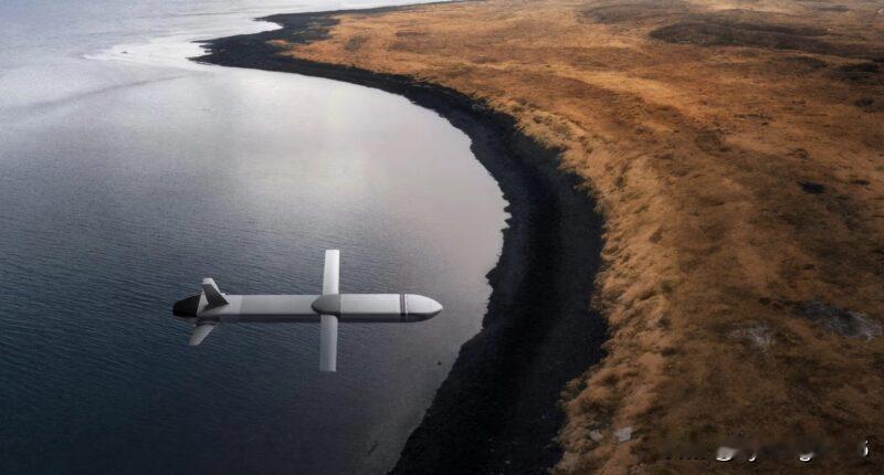 🇺🇦乌克兰将“鲁塔”（Ruta）无人机发展为巡航导弹……

“鲁塔”神风特攻