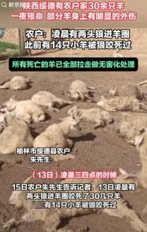 奇了怪了！9月15日陕西榆林，一村民半夜听到羊圈里有动静，就赶紧过去查看情况，结