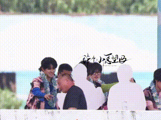 妖风阵起小猫飞身扑救嘉宾立牌力挽狂澜左航一路向海的少年