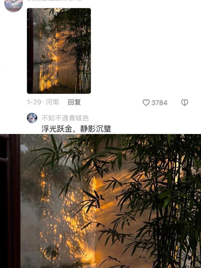 那些随手一拍照片就封神的照片 